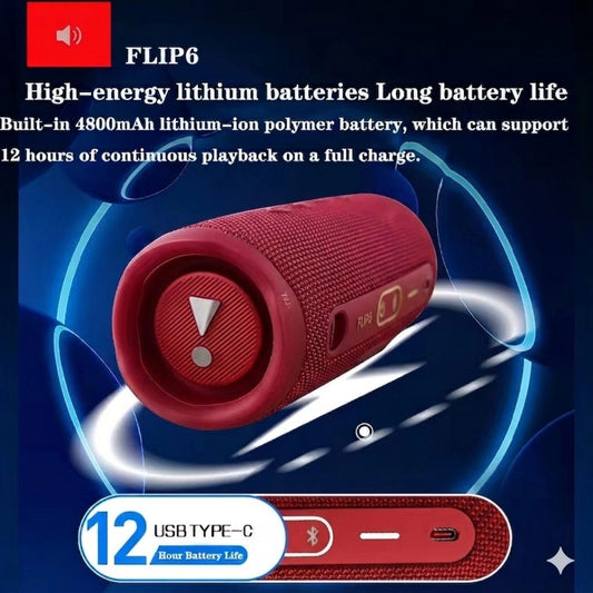 FLIP 6 Bluetooth speaker